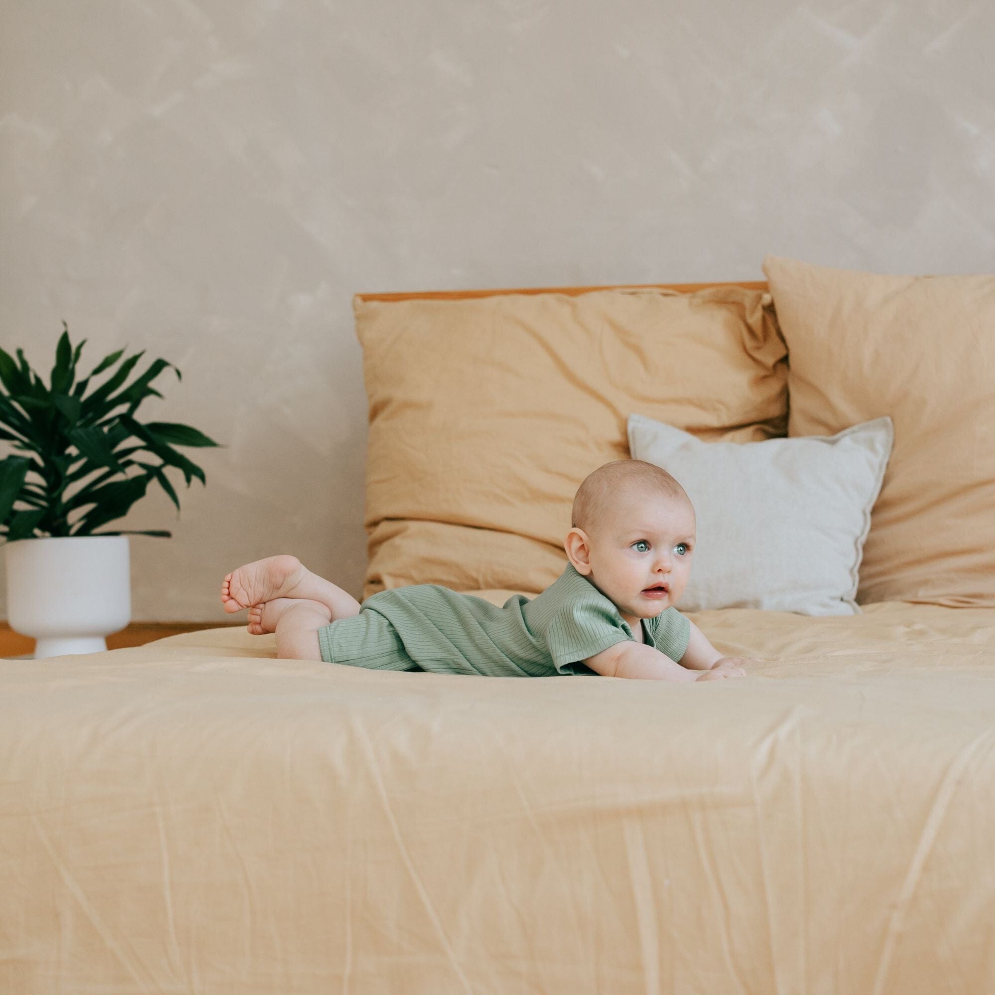 Schlafanzug kurz 1-teilig | Essential Grün