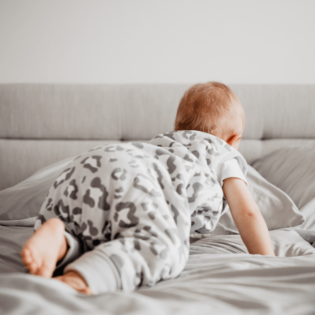 Schlafsack mit Füßen 2.5 TOG | Leo Grau