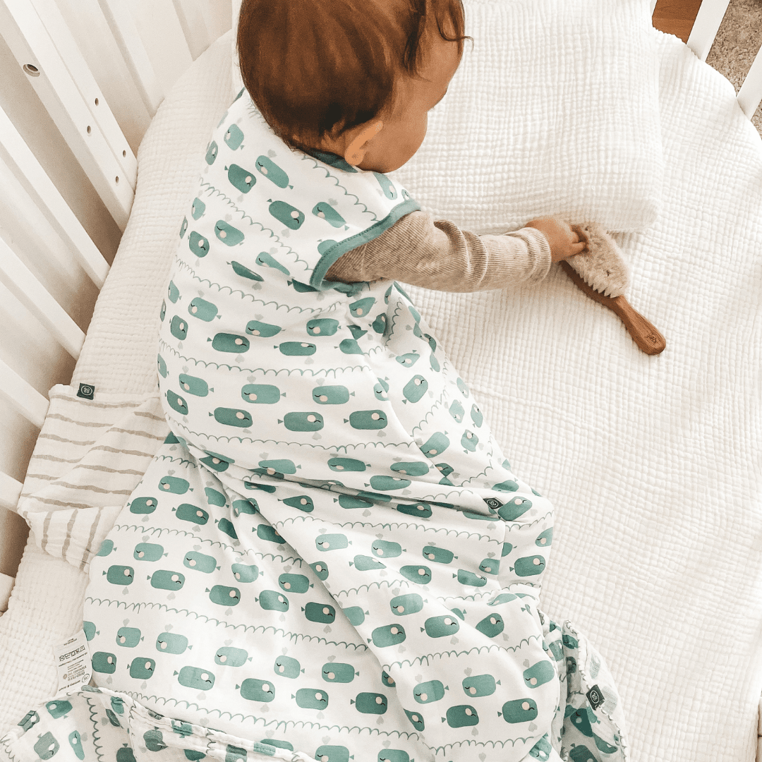 Schlafsack 2.5 TOG | Wal Blau