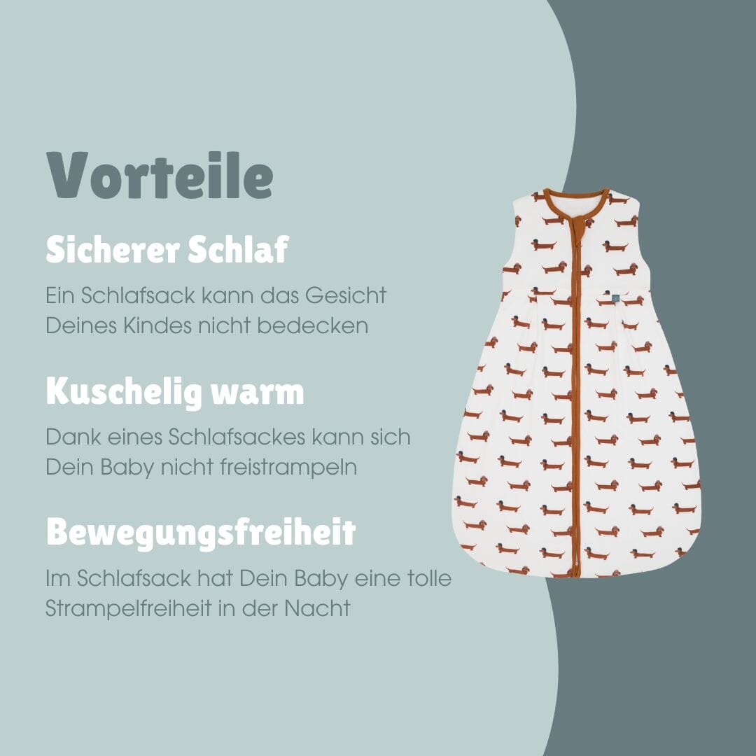 Schlafsack 1.0 TOG | Dackel