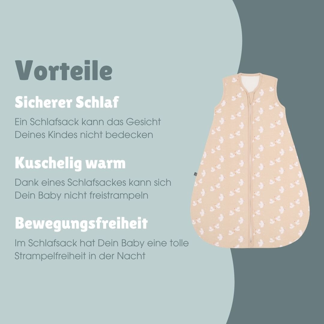 Schlafsack 2.5 TOG | Vogel