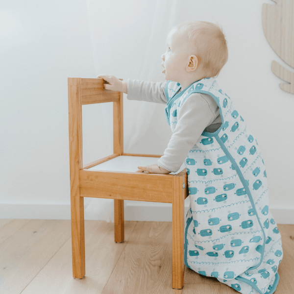 Willkommens Bundle | Schlafsack 0.5 TOG | Wal Blau