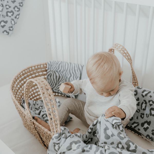 Starter Bundle | Leo Grau